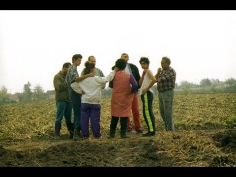 Őrkutyák Civilben- kistérségi problémák és a civilek