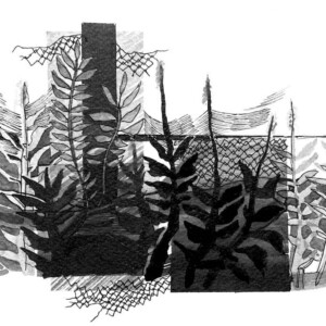 L. Ritók Nóra: Kerítés tövében L.Ritok Nora Alfold 17