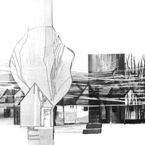 L. Ritók Nóra: Hideg szél L.Ritok Nora Alfold 3