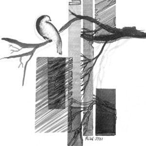 L. Ritók Nóra: Merengő L.Ritok Nora Alfold 5