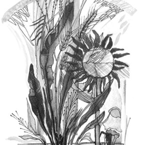 L. Ritók Nóra: Nyár vége L.Ritok Nora Alfold 6