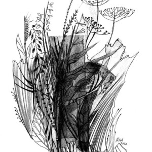 L. Ritók Nóra: Szárazon is szép L.Ritok Nora Alfold 8