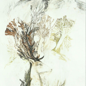 L.Ritok Nora Rege 1 L.Ritok Nora Rege 1