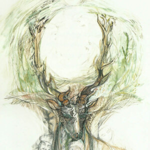 L.Ritok Nora Rege 11 L.Ritok Nora Rege 11