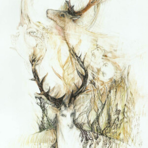 L.Ritok Nora Rege 6 L.Ritok Nora Rege 6