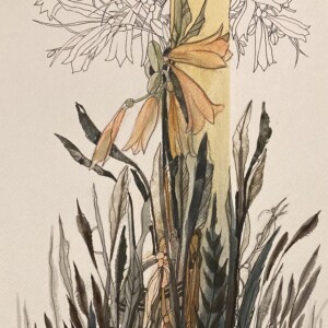 L. Ritók Nóra: Fényre vágyó (30x22 cm) L. Ritók Nóra: Fényre vágyó (30x22 cm)