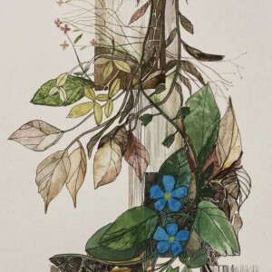 L. Ritók Nóra: Lap az erdők könyvéből 3. (30x22 cm) L. Ritók Nóra: Lap az erdők könyvéből 3. (30x22 cm)